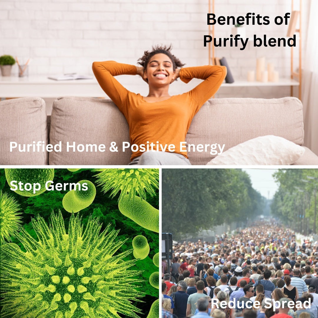 Purify Essential Oil Blend | Clean Air & Positive Energy | Pure Essential Oil Australia