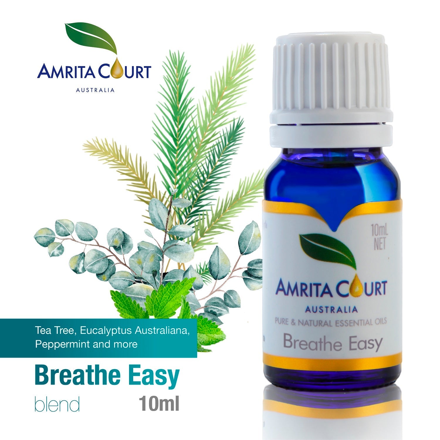 Breathe Easy Blend | Clear Blocked Nose | Hay Fever | Anti-Infectious | Pure Essential Oil