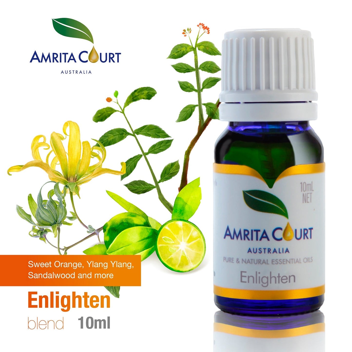 Enlighten Essential Oil Blend | Uplift Mood, Energy & Focus | Australian Made