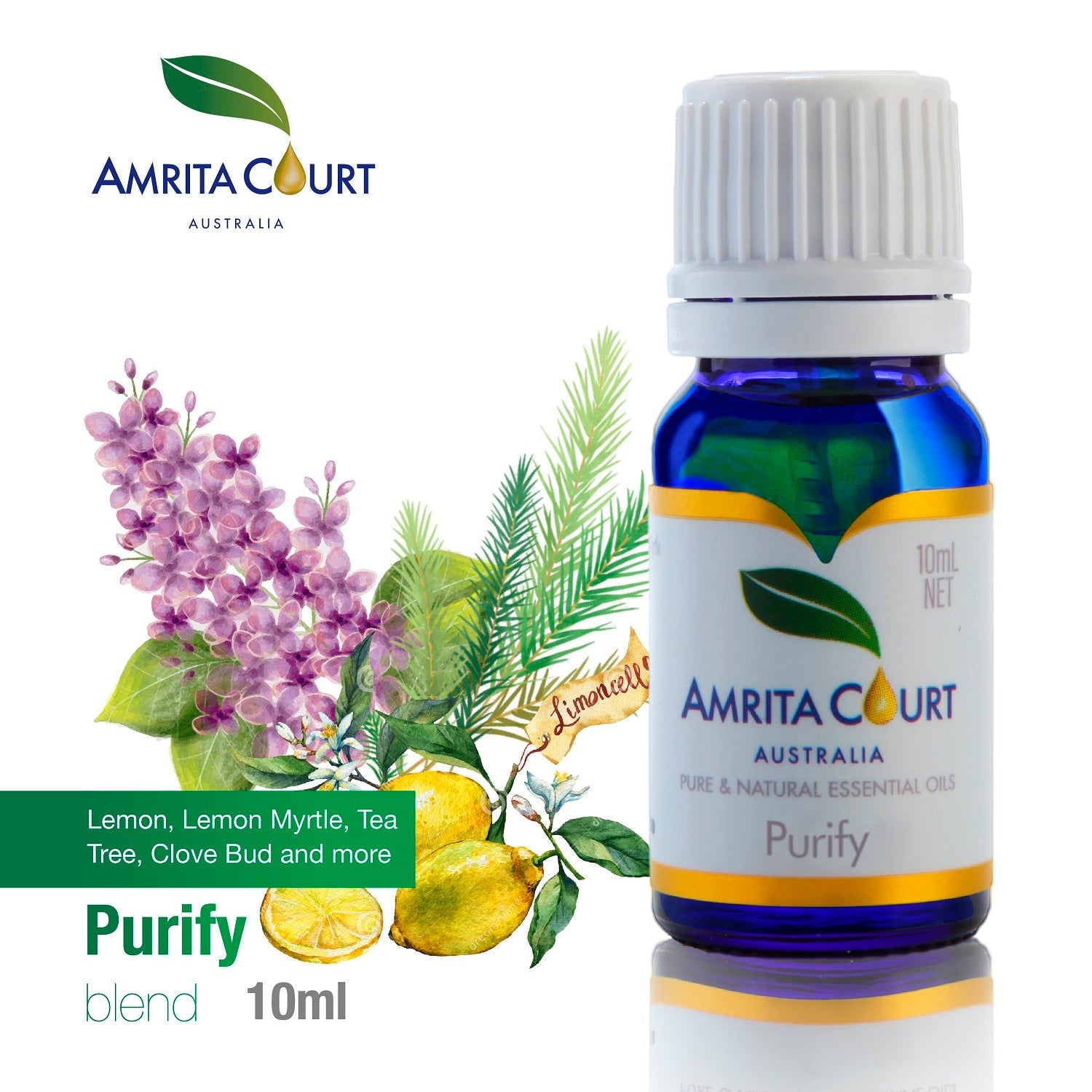 Purify Essential Oil Blend | Clean Air & Positive Energy | Pure Essential Oil Australia